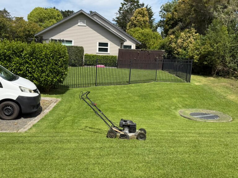 WhatsApp Image 2025-11-22 at 12.29